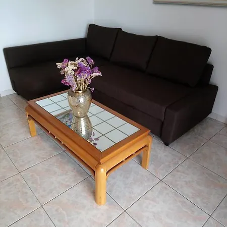 Apartment Rigas Pefkochori